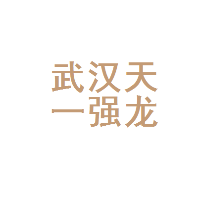 武漢天一強(qiáng)龍稅務(wù)代理 專業(yè)服務(wù)助力企業(yè)穩(wěn)健發(fā)展